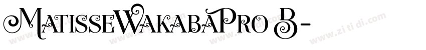 MatisseWakabaPro B字体转换